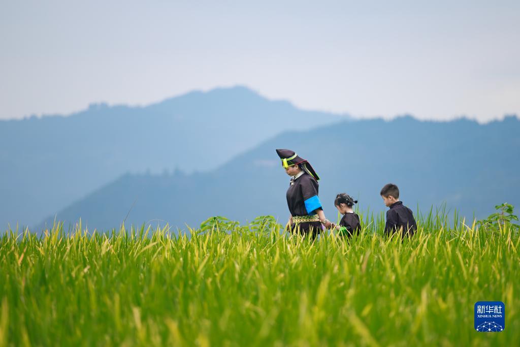 打鱼助手哪里有